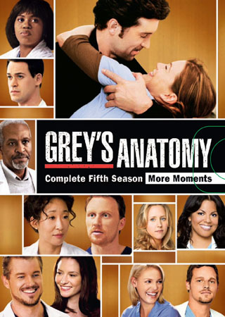 Grey's Anatomy - Säsong 5 (BEG DVD)