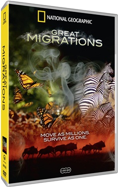 National Geographic - Great Migrations (beg hyr dvd)