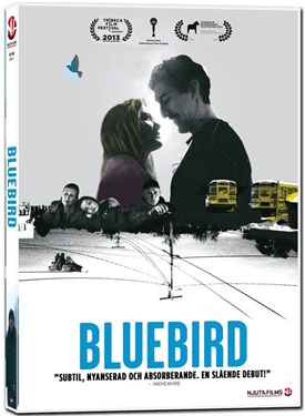 NF 711 Bluebird (BEG DVD)