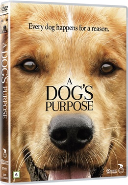A dogs purpose (beg dvd)