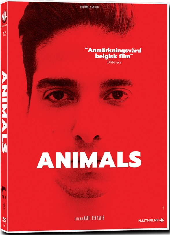NF1656 Animals (DVD)