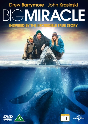 Big Miracle (Second-Hand DVD)