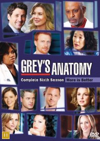 Grey's Anatomy - Säsong 6 (BEG DVD)