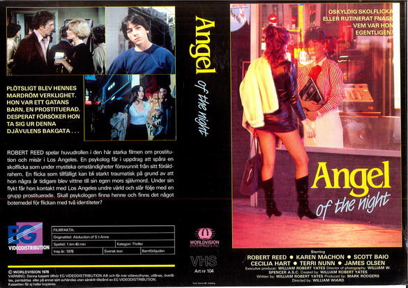 ANGEL OF THE NIGHT (Vhs-Omslag)