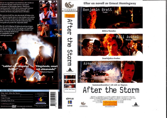 AFTER THE STORM (VHS)
