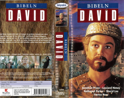 BIBELN: DAVID (VHS)