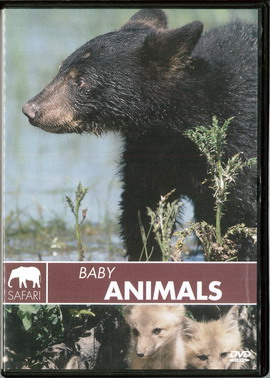 10362 SAFARI - BABY ANIMALS (BEG DVD)