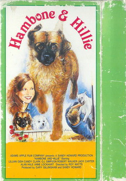 HAMBONE & HILLIE (VHS)