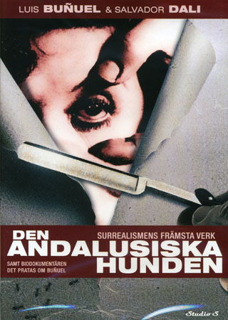 NF 965 Den osynlige pojken (beg dvd)
