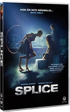 Splice (beg hyr dvd)