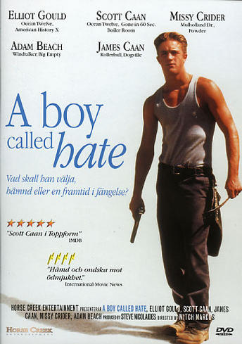 HCE 673 A Boy Called Hate (Second-Hand DVD)