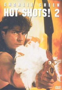 Hot Shots 2 (DVD)