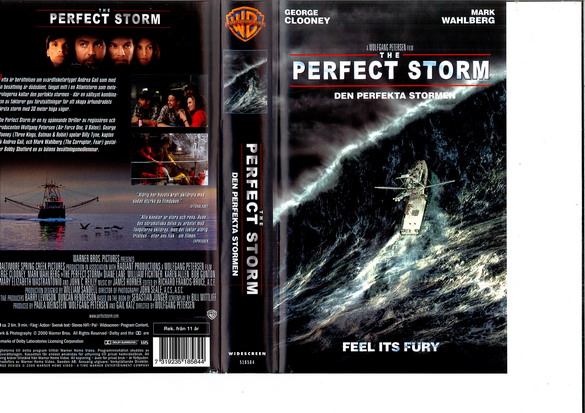 PERFECT STORM (VHS)