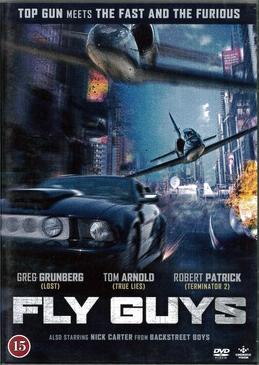 FLY GUYS (DVD)BEG