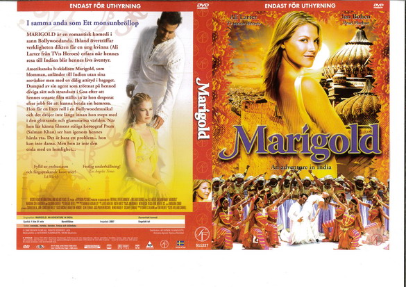 MARIGOLD (DVD OMSLAG)