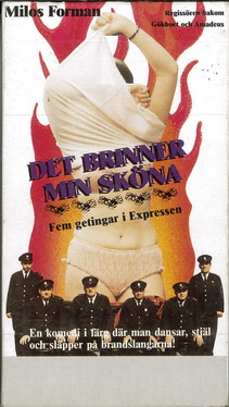 DEN BRINNER MIN SKÖNA (VHS) PAPPASK