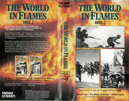 WORLD IN FLAMES DEEL 2 (VIDEO 2000) HOL