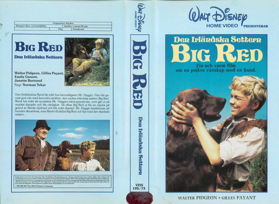 195/73 Big Red - den irländska settern (vhs)