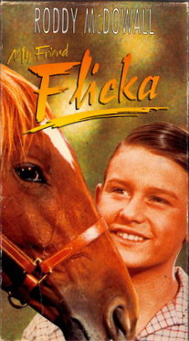 FLICKA (VHS) (USA-IMPORT)