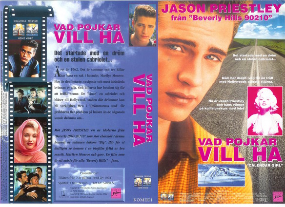 VAD POJKAR VILL HA (Vhs-Omslag)