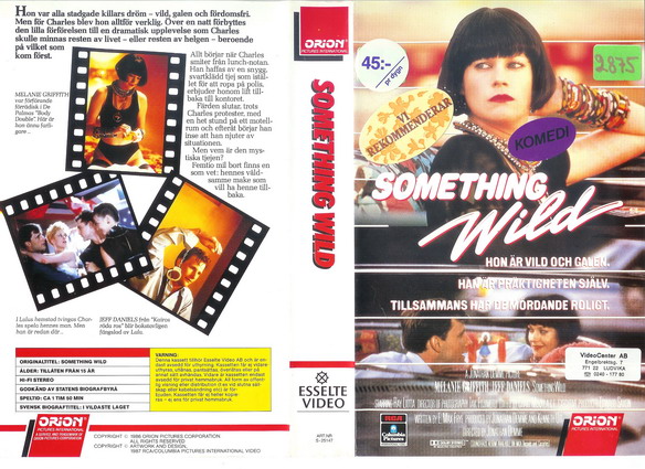 25147 SOMETHING WILD (VHS)