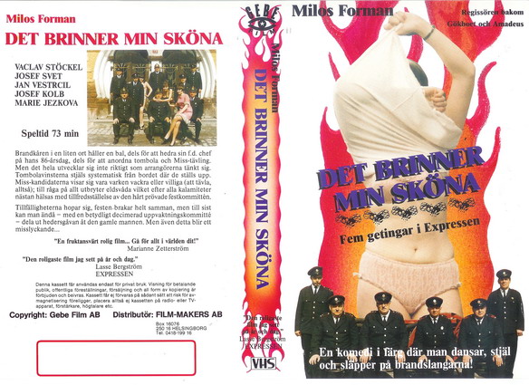 DET BRINNER MIN SKÖNA (VHS)